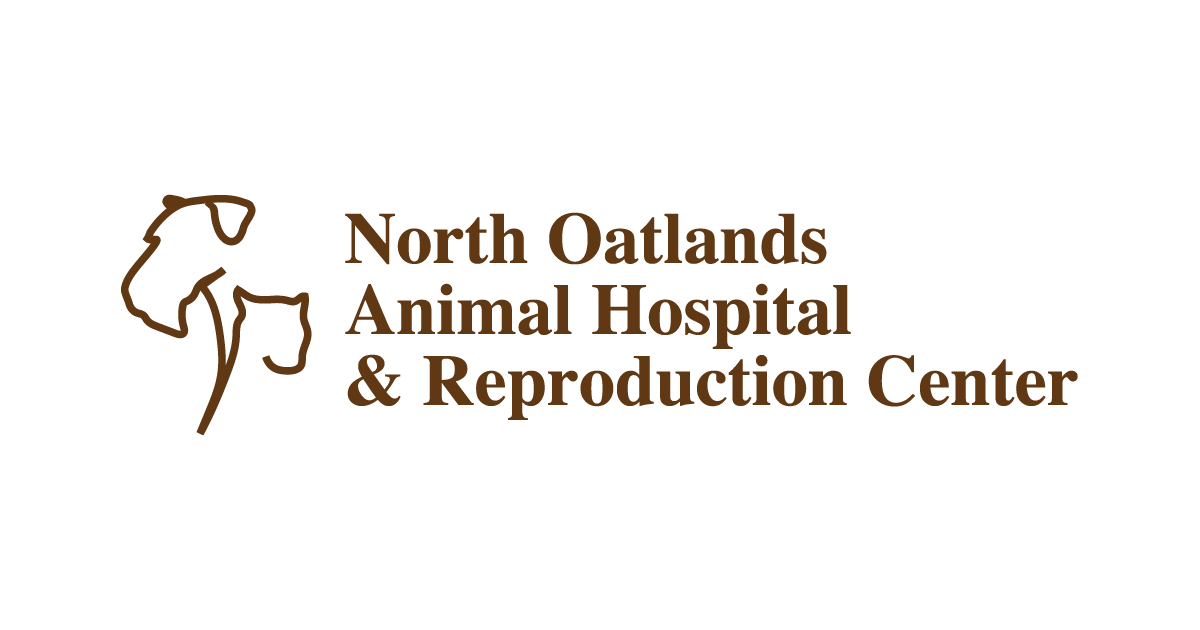 HighQuality Vet Hospital in Leesburg, VA North Oatlands Animal